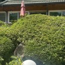 청기와민박 이미지