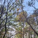 미륵산 자연학교 이미지