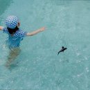 동행키즈풀빌라펜션 이미지