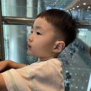 꿈동산치과의원 이미지