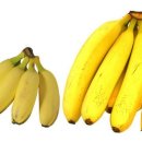 바나나의 효능 이미지