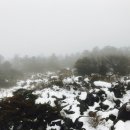 폴인럽제주 이미지