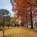 11월 30일 경기방 (일요일) 출석부 이미지