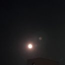 파파건어물