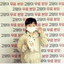 네코스토리 네이버블로그