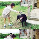 김새론 카카오 검색결과