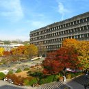 서울대학교 이미지