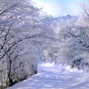 석계초등학교 이미지