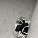 토탈 크리닝 세탁소 | 우리집 문 앞 세탁소, 세탁특공대 어플 이용후기 | 친구 초대 코드 공유