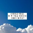 현재 신용8등급, 향후 7등급 예정인데요, 대출이 얼마나 나올까요? 이미지