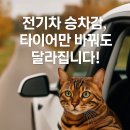 에코프로테크 | 전기차 승차감, 타이어만 바꿔도 달라집니다! 추천 모델 5가지