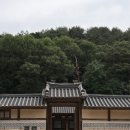황제능이버섯 백숙 Daum카페