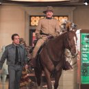 이상은 살아있다. 이미지