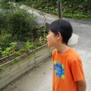 다래골산방(1) 이미지