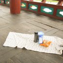 비비정 상생 도시숲 이미지