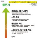 (주)사료회관 | 책 읽기 좋은 계절📚 포에버도그(포에버독), 렛뎀이론, 낭만적 우정과 무가치한 연애들