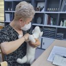 진심어린펫살롱 이미지