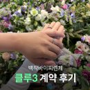 청담 웨딩밴드 백작피렌체 클루3 계약 후기(견적,할인받는 팁)