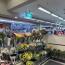 D마트 | [D+29] 호주 워홀 카페잡 트라이얼 후기 + Coles 마트 추천템