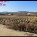 서면 신매1리 경로당 이미지