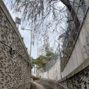 강변자전거길(북) 이미지