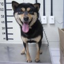 상색초등학교 이미지