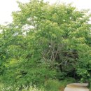 새소리농장 이미지