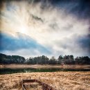 대청호반 이미지