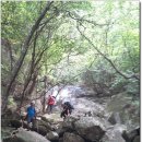 봉덕초교 이미지