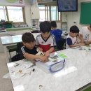 송정서초등학교 이미지