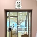 냥이 싸롱 이미지