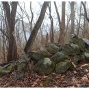 쉬리농장 이미지