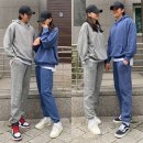 피그먼트