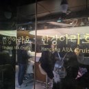 한강 | 2026 한강 일출 크루즈 후기