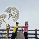 봄꽃에서첫눈까지 | [양평 용문산 은행나무길과 용문산 등산후기]용문산 등산코스 및 쉬운코스 안내