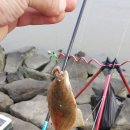 노적봉공원(녹산수문옆) 이미지