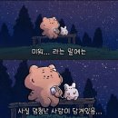 프로방