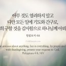 천씨씨커피구평점