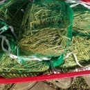 진아농장 이미지