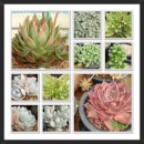 대리농장 이미지