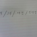 하남애견훈련소 이미지