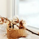 그루터기 이미지