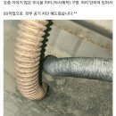 원전길 이미지