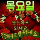 단풍마트