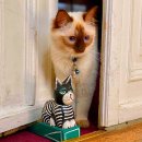 허브민박 | 독일 프랑크푸르트 한인민박 숙소 위치 추천 BEST4