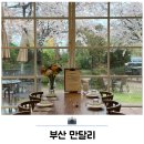 기장군농업기술센터 본관 | 부산 기장 카페 벚꽃 뷰 브런치 맛집 만달리 후기