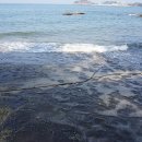 아침바다식당 이미지