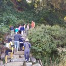 시립배곧이지더원2차어린이집 이미지