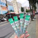 보물섬 | 경주시청술집 보물섬: 내 인생의 숨겨진 맛의 보물 지도를 펼쳐봐요!