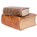 천사의 손 이미지